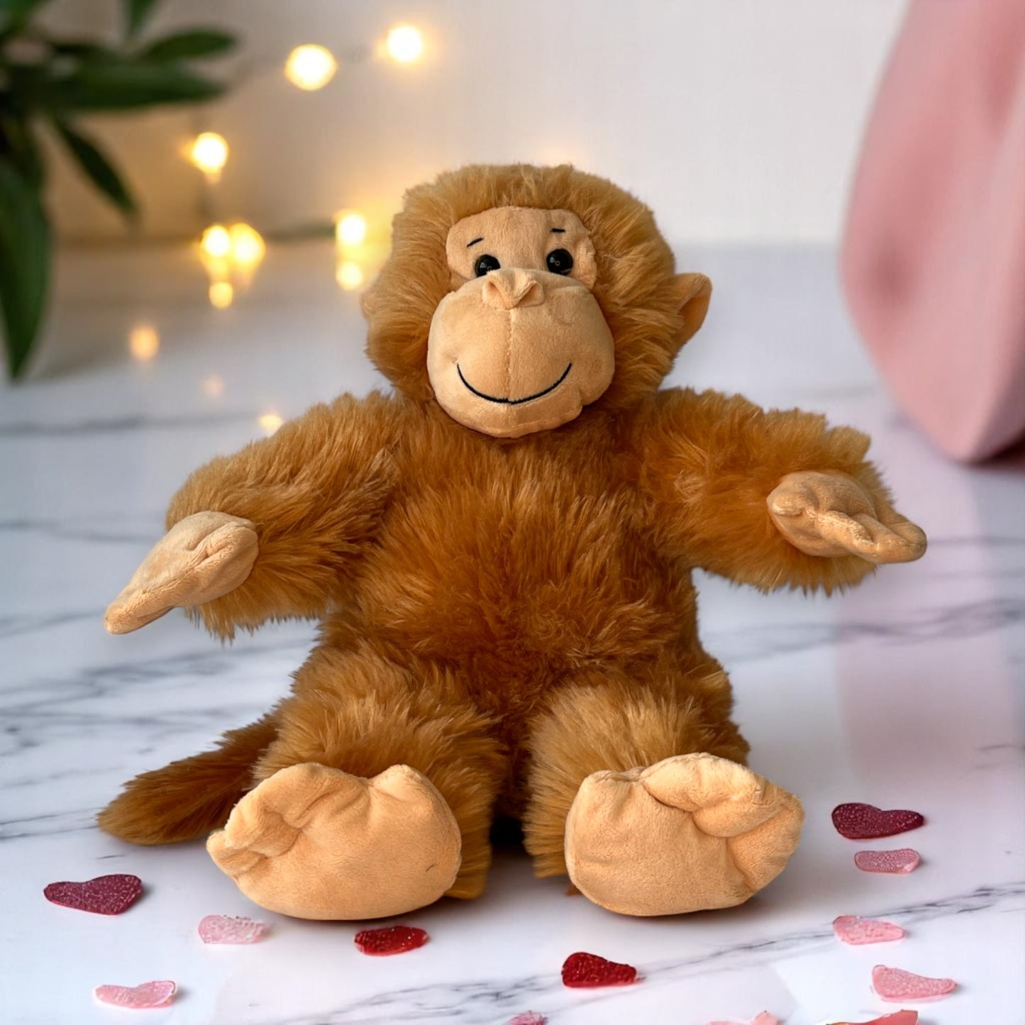 Cuddly Monkey with its own voice recording