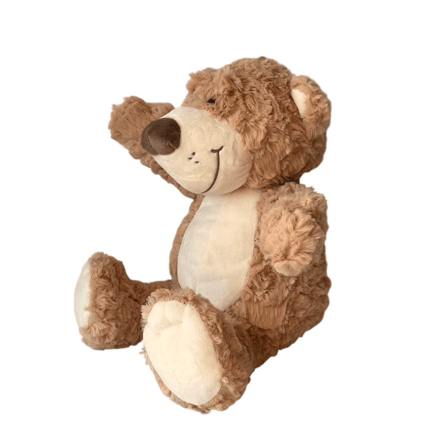 Brown cuddly bear with voice recorder
