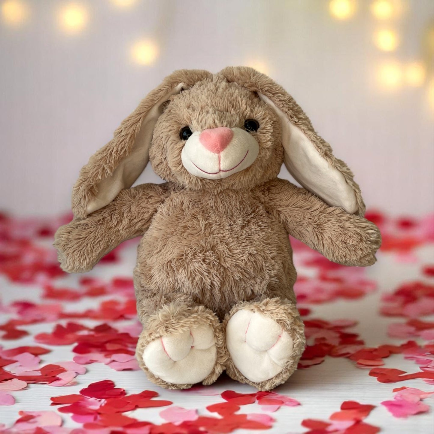 Cuddly Rabbit with recorded message