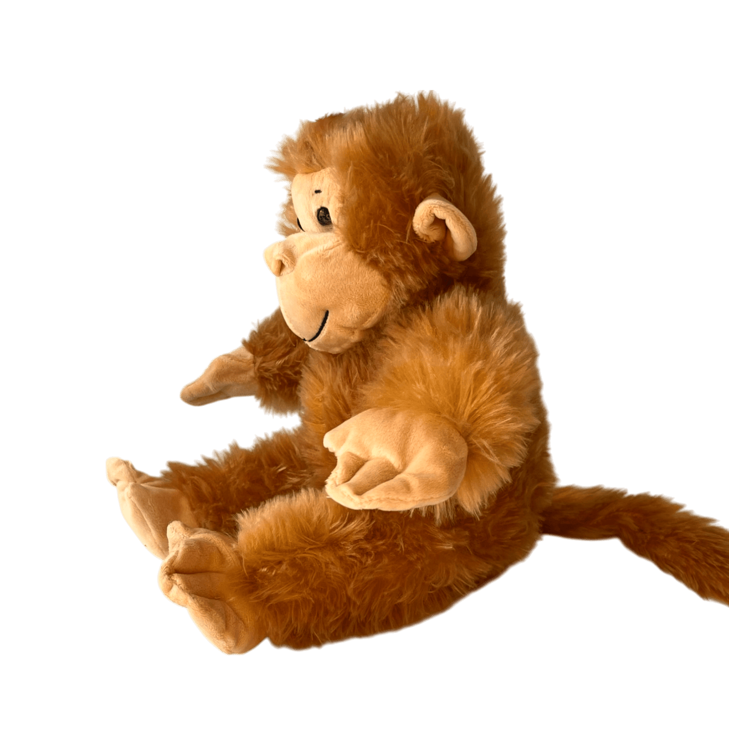 Cuddly Monkey with its own voice recording