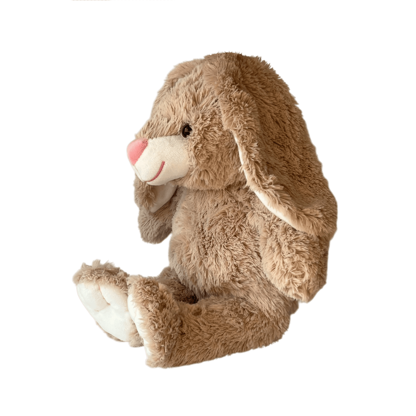 Cuddly Rabbit with recorded message