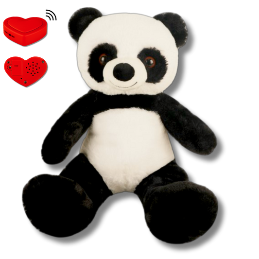 Plush Panda with Voice Recording – Personalised Stuffed Animal