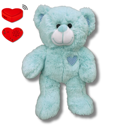 Blue Teddy Bear with Voice Recording – Personalised Stuffed Animal
