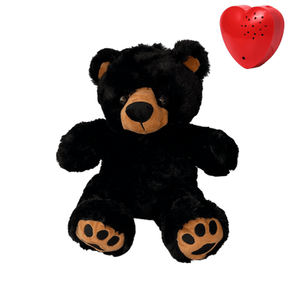 Dark cuddly bear with recorded message