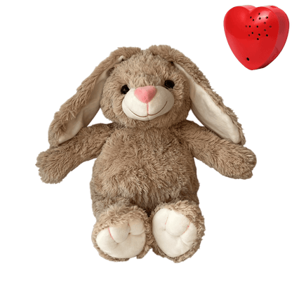 Cuddly Rabbit with recorded message