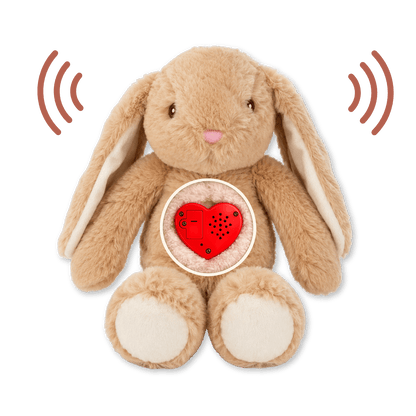 Plush Bunny with Voice Recording – Personalised Stuffed Animal