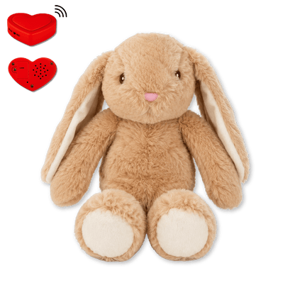 Plush Bunny with Voice Recording – Personalised Stuffed Animal